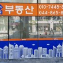 세종스러움 이미지
