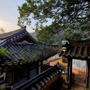 선문염송설화 이미지