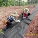 중화농장 이미지