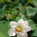 희망 인력 행정사사무소 이미지