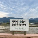 구례여행 번외편 ㅣ 구례군 토지면 오미리 한옥마을 숙소
