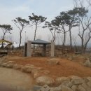 보건의료원 1 Daum카페