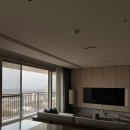 소노펠리체 델피노 이미지