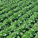 계촌복지회관 이미지