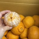 창주농장 이미지