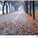 우산속으로 이미지