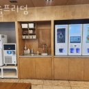 머슬프리덤 이미지