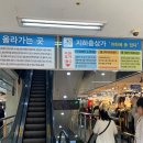 대구 서문시장 서문2지구 칼국수 맛집, &lt;엄마칼국수&gt; 칼제비&amp;비빔국수 추천 후기