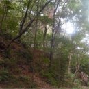 내서읍146 이미지