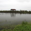 남생이못 습지생태 관찰원 이미지