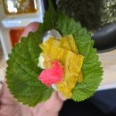 중앙회센타 - 서구 풍암중앙로 53 | 풍암동 횟집 중앙회센타 후기, 부모님과 가기 좋은 방어회 맛집