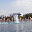올리브식물원 이미지