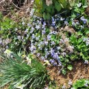 종지농장 이미지