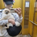 25시 죽곡동물병원 이미지