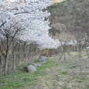 오글오글오토캠핑장 이미지