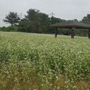 두포마을회관 이미지