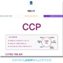 안경박사 LENS NINE | 약시 안경: 일본 토카이 CCP 차광 렌즈를 활용한 고급 시기능 재활