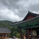 변산반도 생태탐방원[내소사, 채석강, 백합식당, 마식당]_내돈내산솔직후기