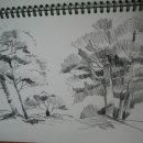 연필스케치(초급) 이미지