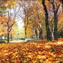 율동공원 이미지