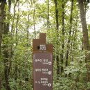 35.낙동정맥 5구간 산행 이미지
