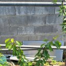 별샘농장 이미지