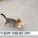 새내기 친구 선물 좀 골라주라ㅠㅜ 이미지