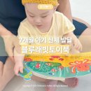자라나요 오감 책놀이 | 7개월 아기 신체 발달, 오감으로 즐기는 블루래빗 플레이 세트