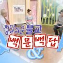 불교 100문 100답 / 불교 TV 이미지