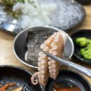 갑오징어 오징어 쭈꾸미는 이곳으로 범박동 산오징어양푼회포차 내돈내산