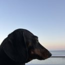 싱카이 신세계센텀점 | [부산/센텀시티] 신세계백화점센텀시티점 식당맛집 센텀중국집 싱카이 10회이상 또간집 내돈내산 솔직후기