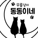 진영냥이 이미지