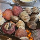 지금조개 | 부산 광안리 조개구이 맛집, 오션뷰 테라스가 있는 지금조개 내돈내산 후기