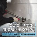 천안용곡초등학교 이미지