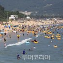 보길통리해수욕장 투어코리아
