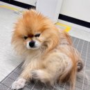 늘봄아로마테라피 이미지