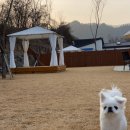 바우하우스 105 이미지