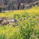 색달동-21 이미지