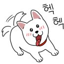 모모펫 이미지