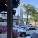 도가네식당 | 세종 연서면 도가네매운탕｜고복저수지 메기매운탕 대전근교 드라이브코스 솔직후기(내돈내산)