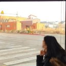 달굼