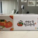 참앤 이미지
