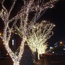 오도로