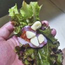 월야마트 이미지