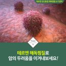테르엔 이미지