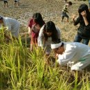 마들근린공원 이미지