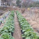 예담소펜션 이미지