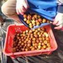 이세구농장 이미지