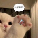 하우스홀드 | W1. 홀드메 계약 완료, 웨딩박람회 후기 (울산시티컨벤션 수피아홀 리뉴얼)