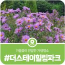 스테이 지천 이미지